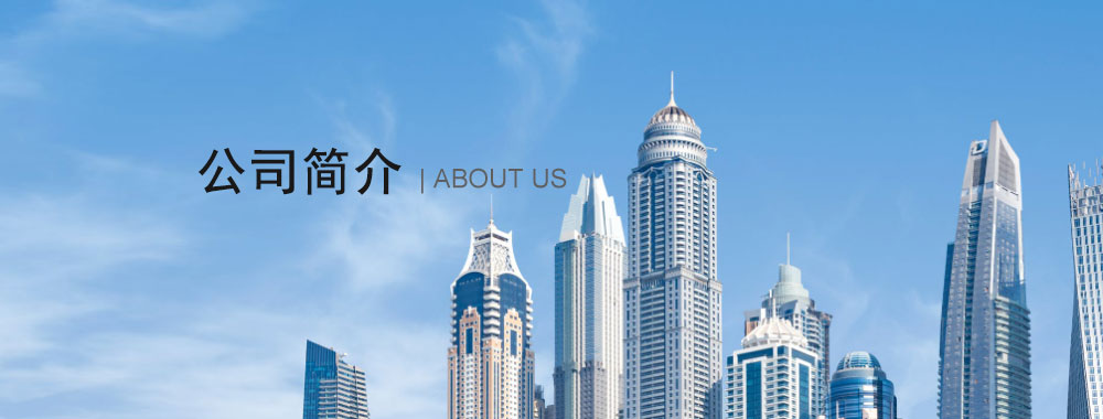 公司簡介